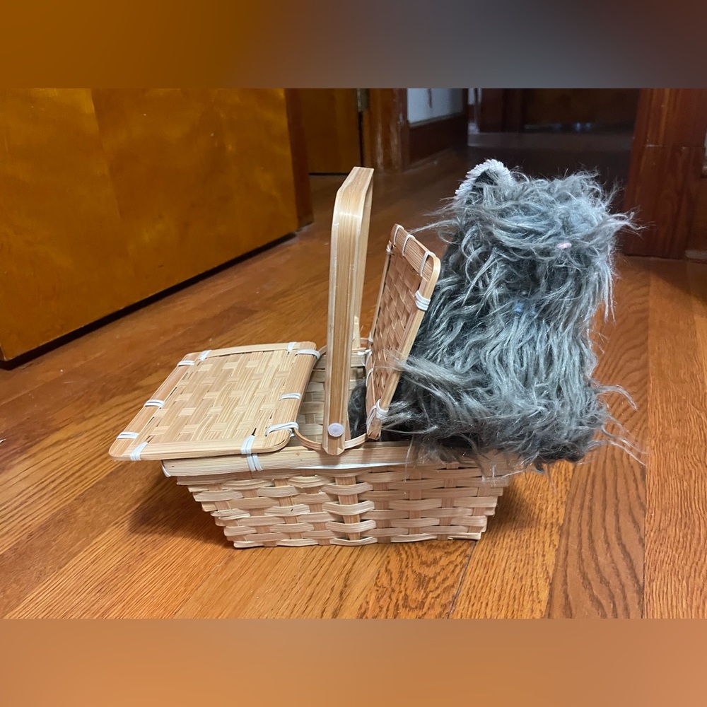Wizard of oz Toto Dorthy and basket